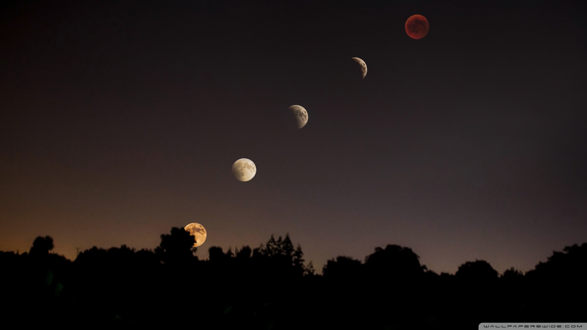 Tips Chiêm Tinh (Đại Vận)